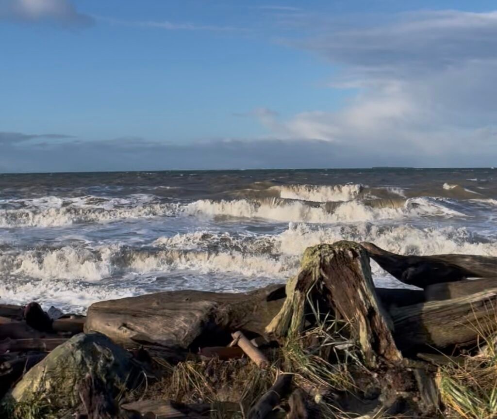 Cleaning Services-West Beach Oak Harbor WA St Nicks Chimney.